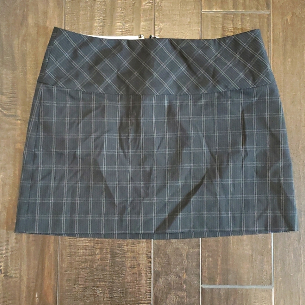 Express Skirt